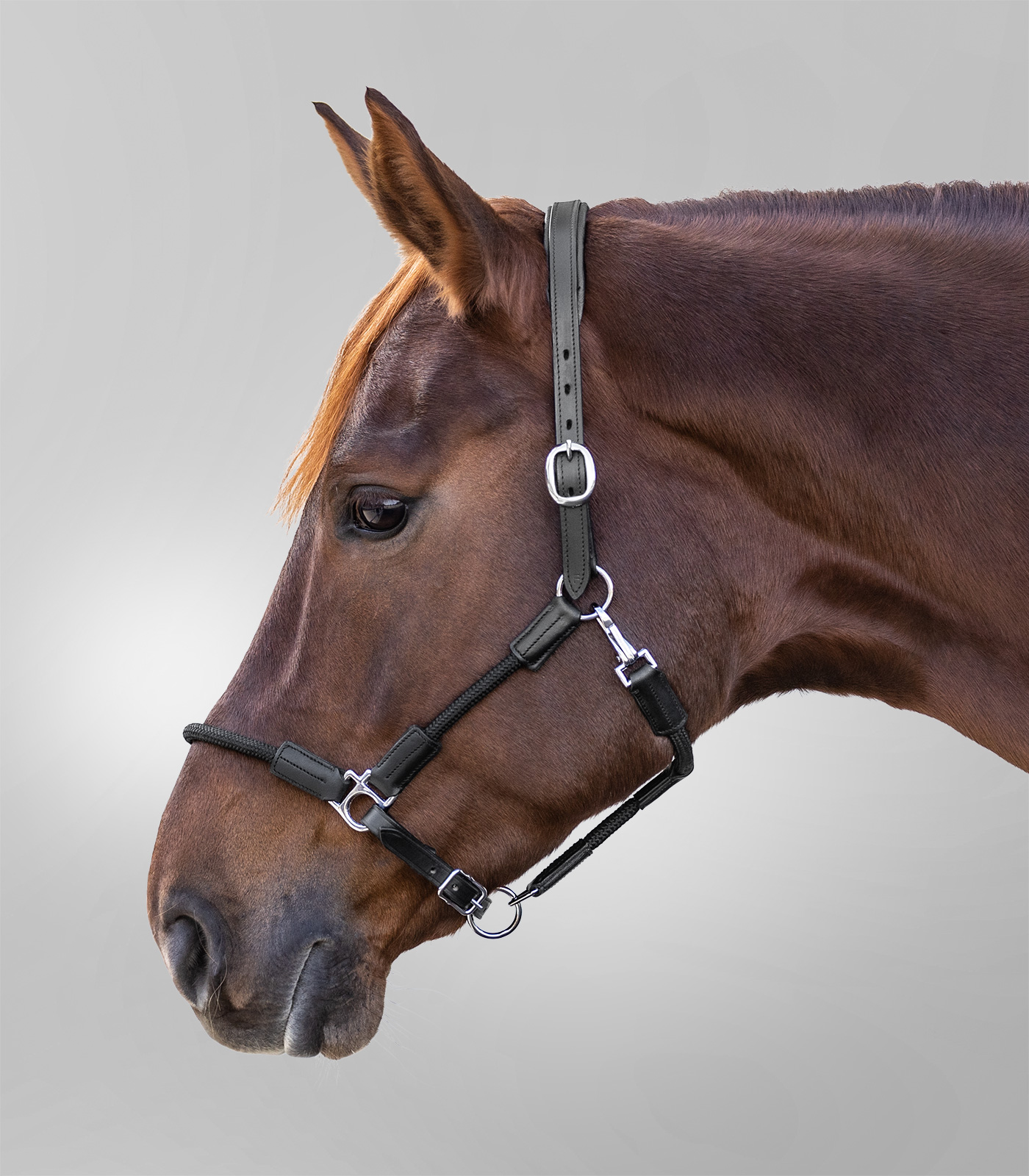 Nevada Halter