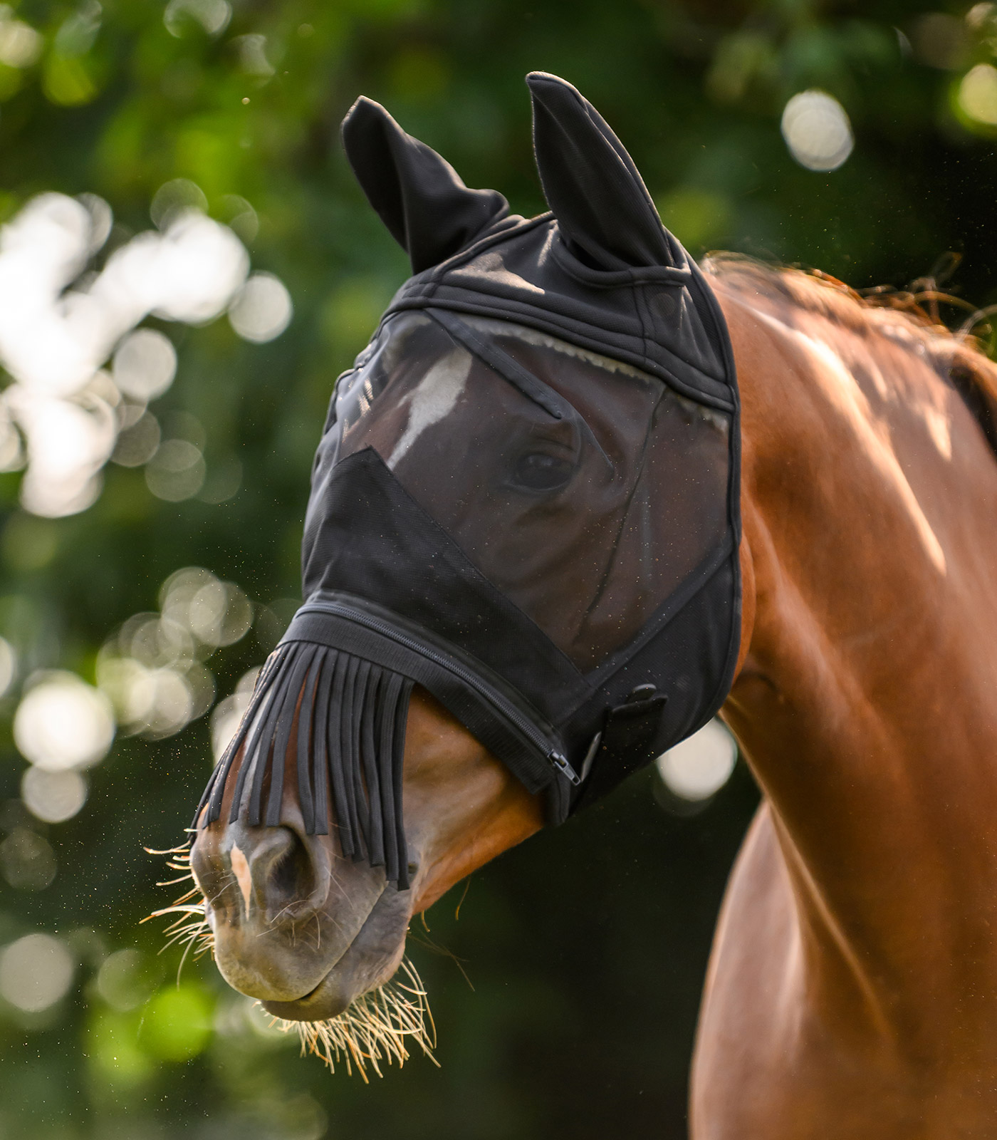 Maschera antimosche PREMIUM 3 in 1 Maschera antimosche PREMIUM 3 in 1