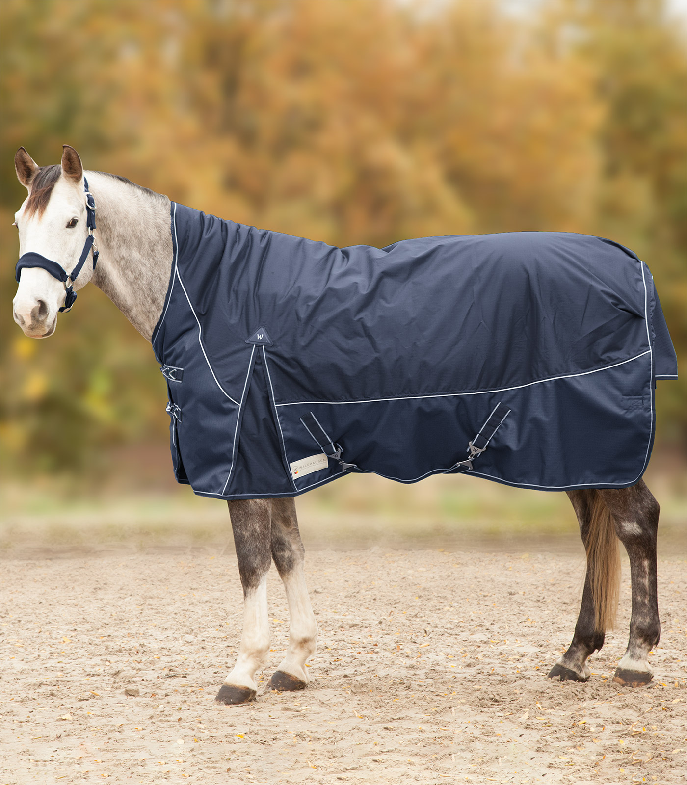 COMFORT Turnout Rug, 200 g, high neck