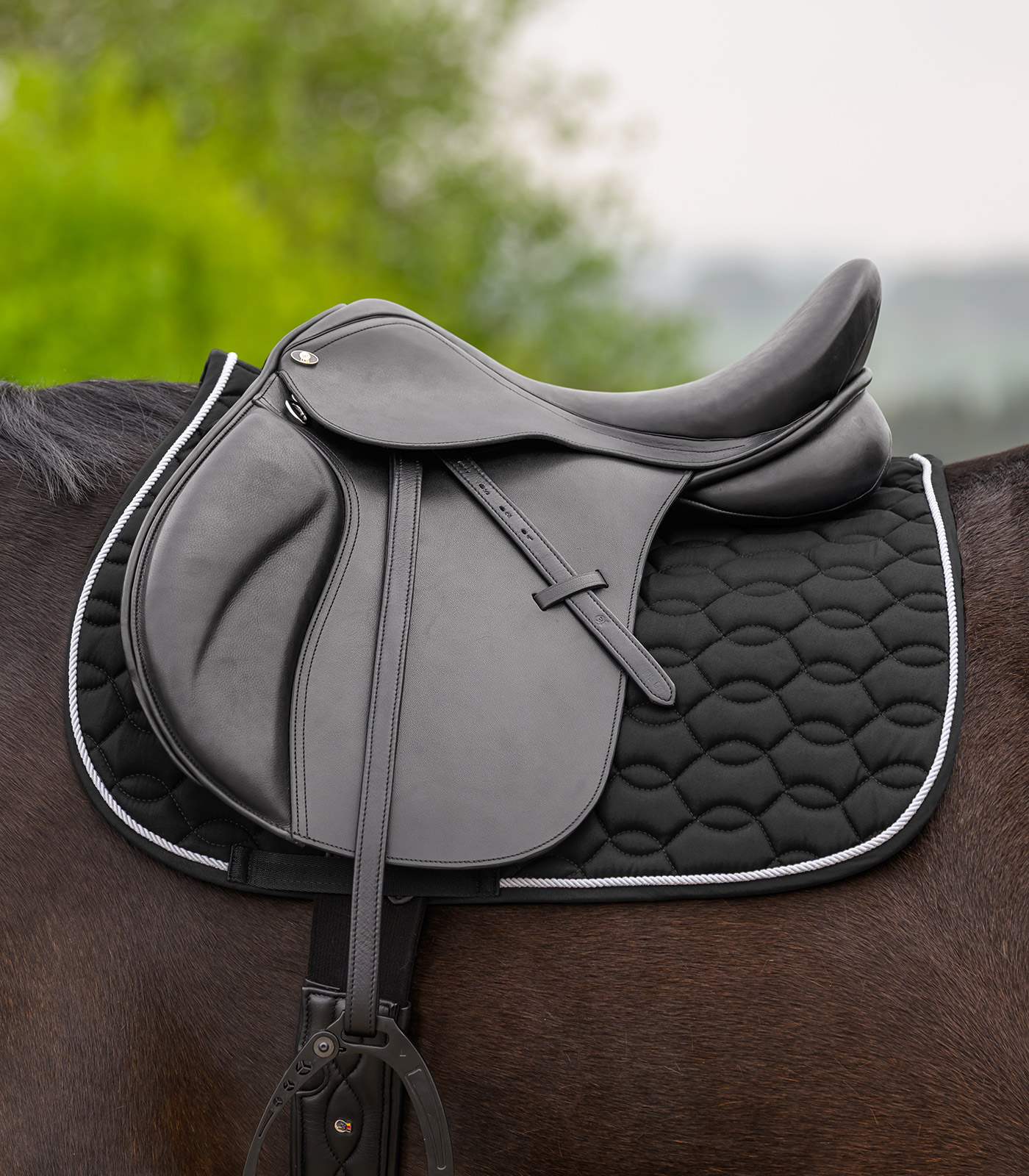 Frontalino X-Line Glam Waldhausen - Articoli per l'Equitazione Frontalino X-Line Glam Waldhausen - Articoli per l'Equitazione