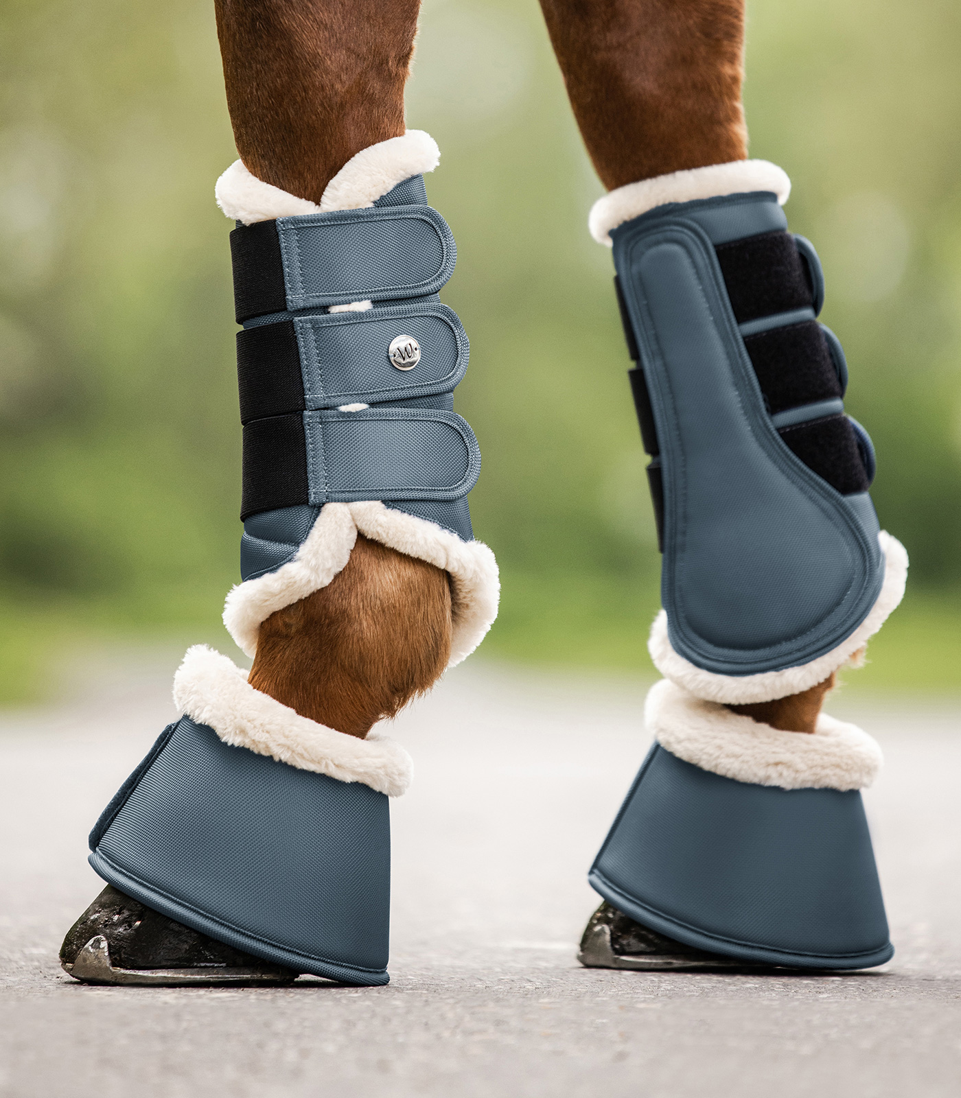 Pegasus Dressage Boot