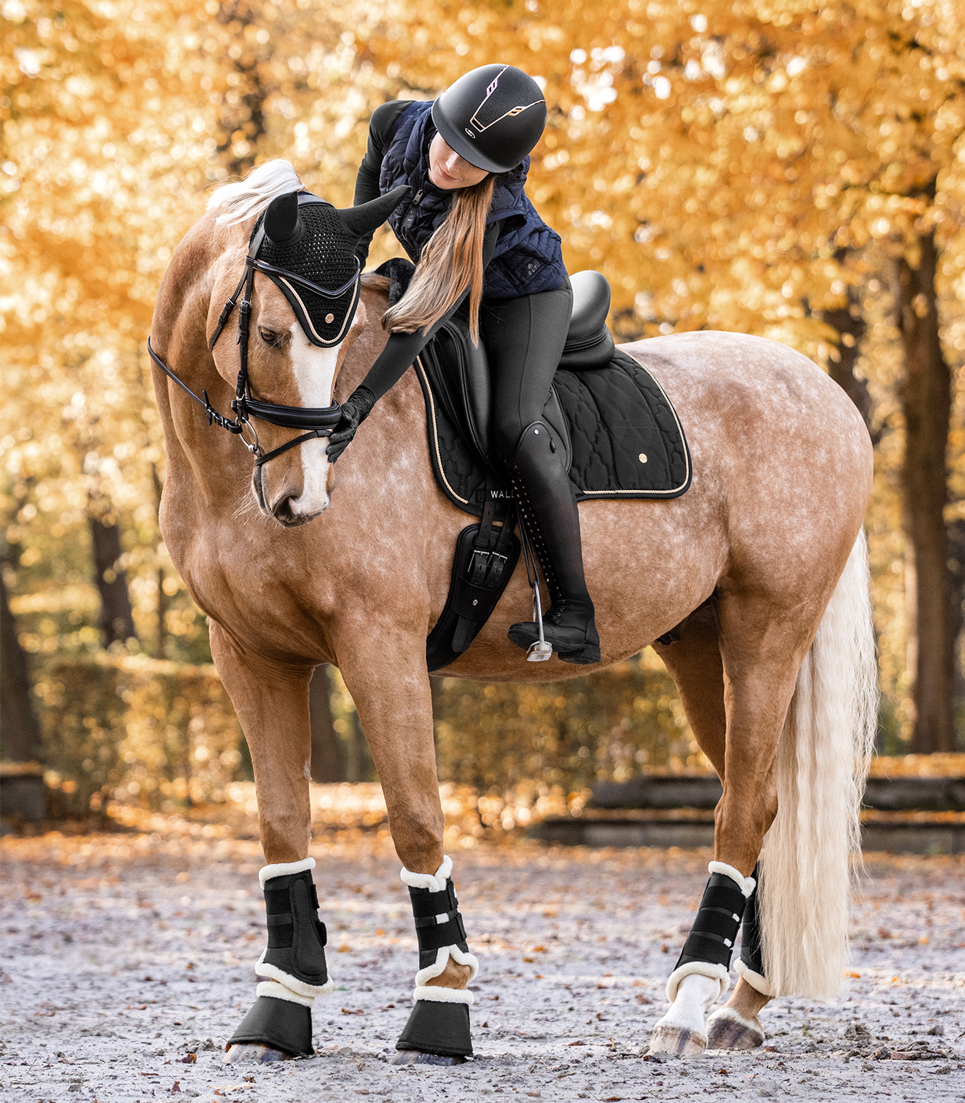 Parastinchi da dressage Comfort