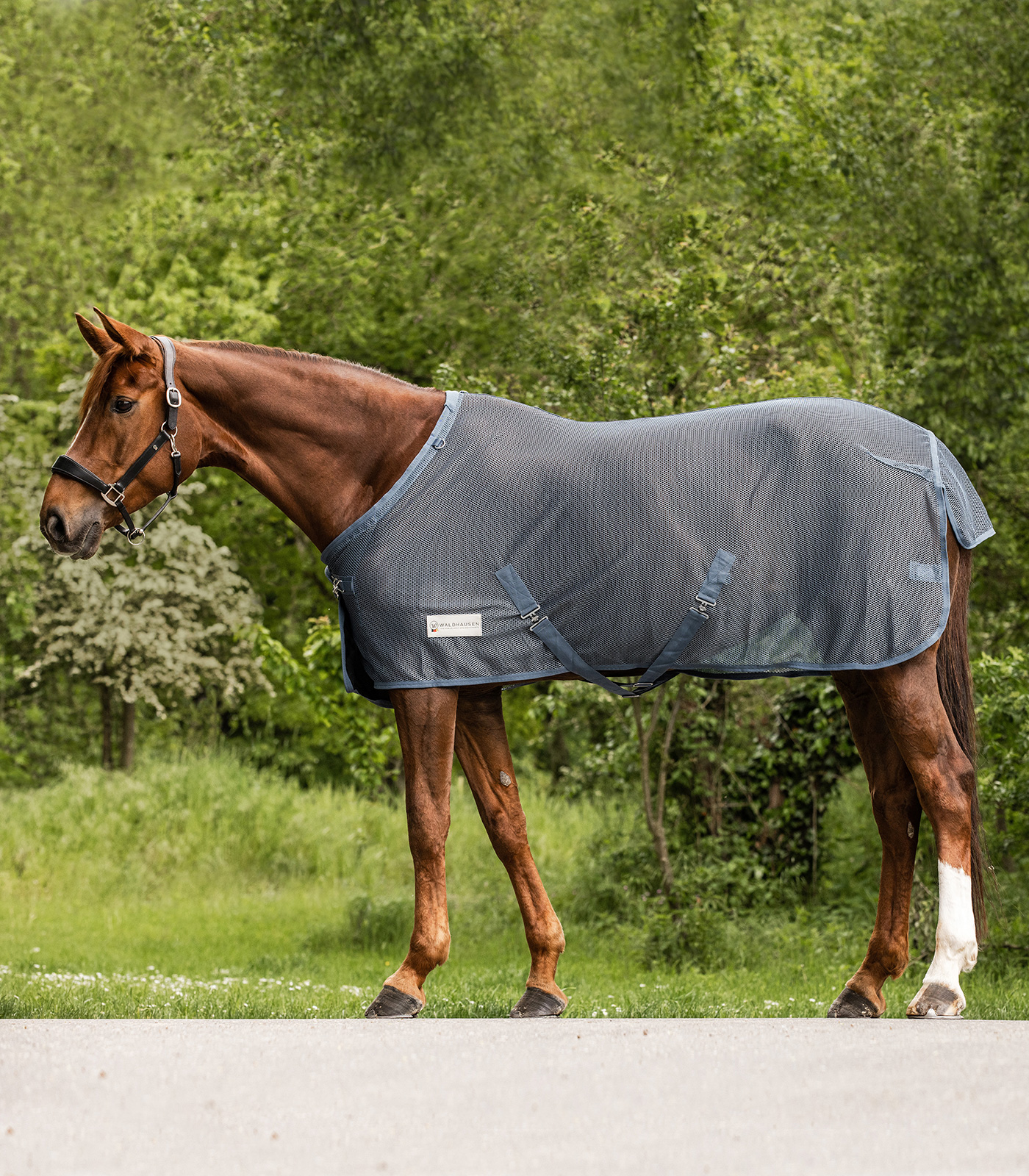 COMFORT Fly Rug with crossover straps chalkblue