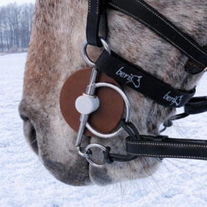 Image alternate text