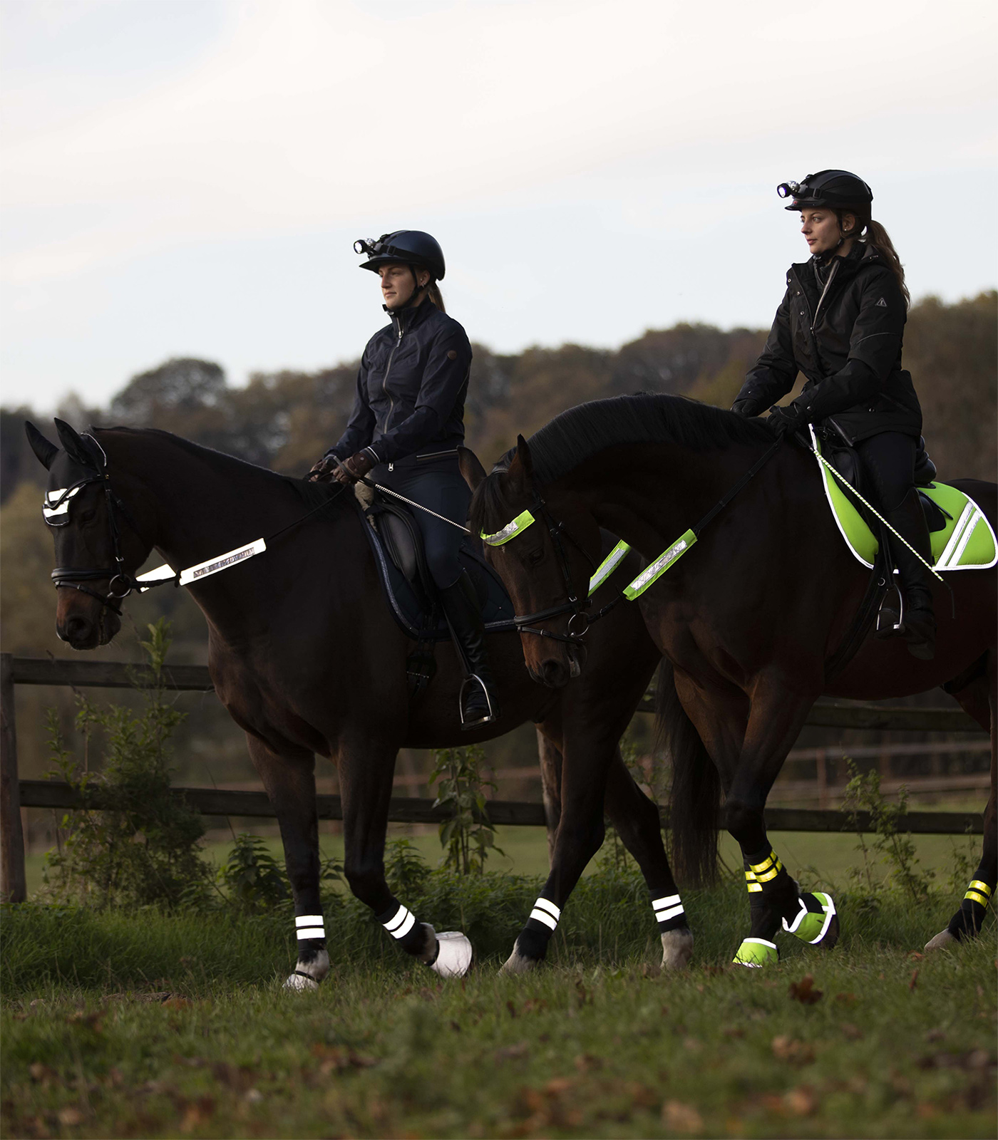 REFLEX  Bridle-Set