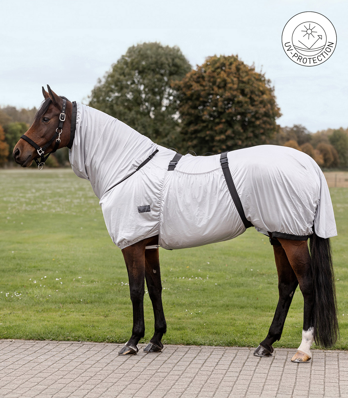 Manta antieczema Basic gris plata