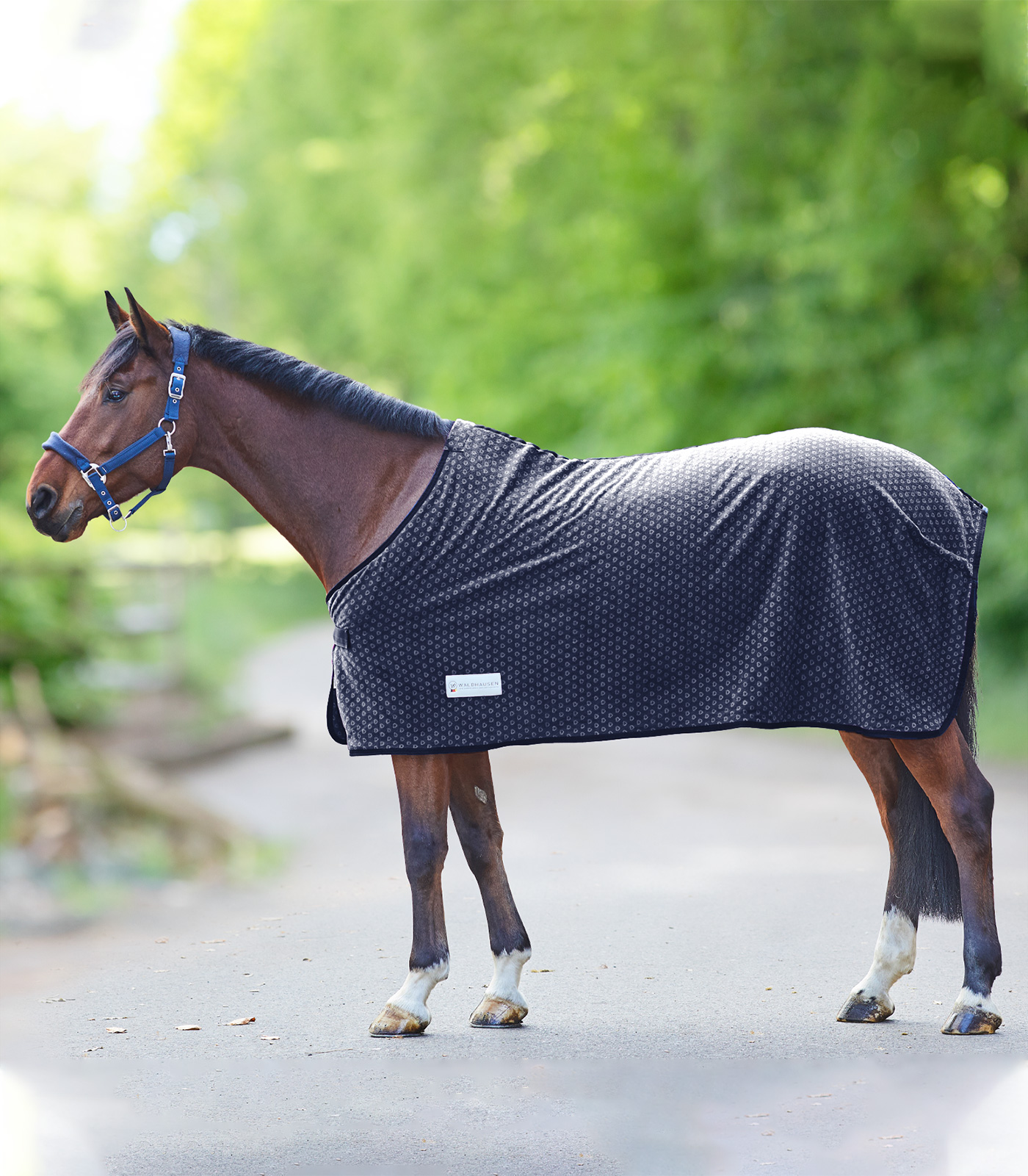 Lucky Heart Fleece Rug