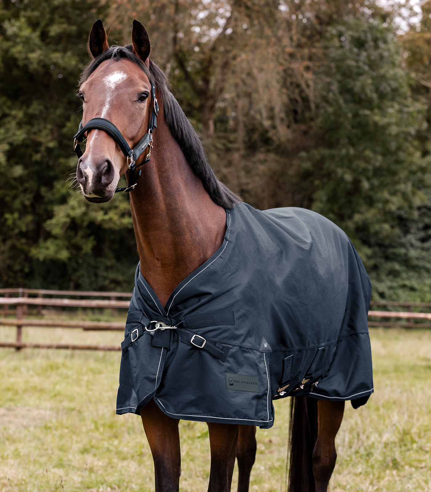 SCANDIC Turnout Rug, 200 g