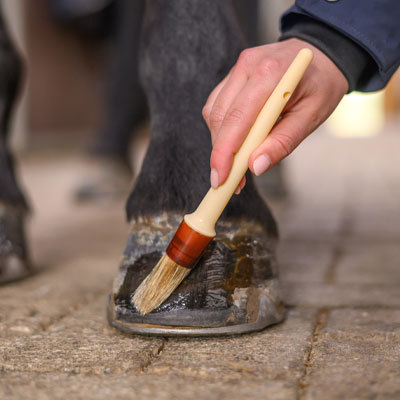 Image alternate text