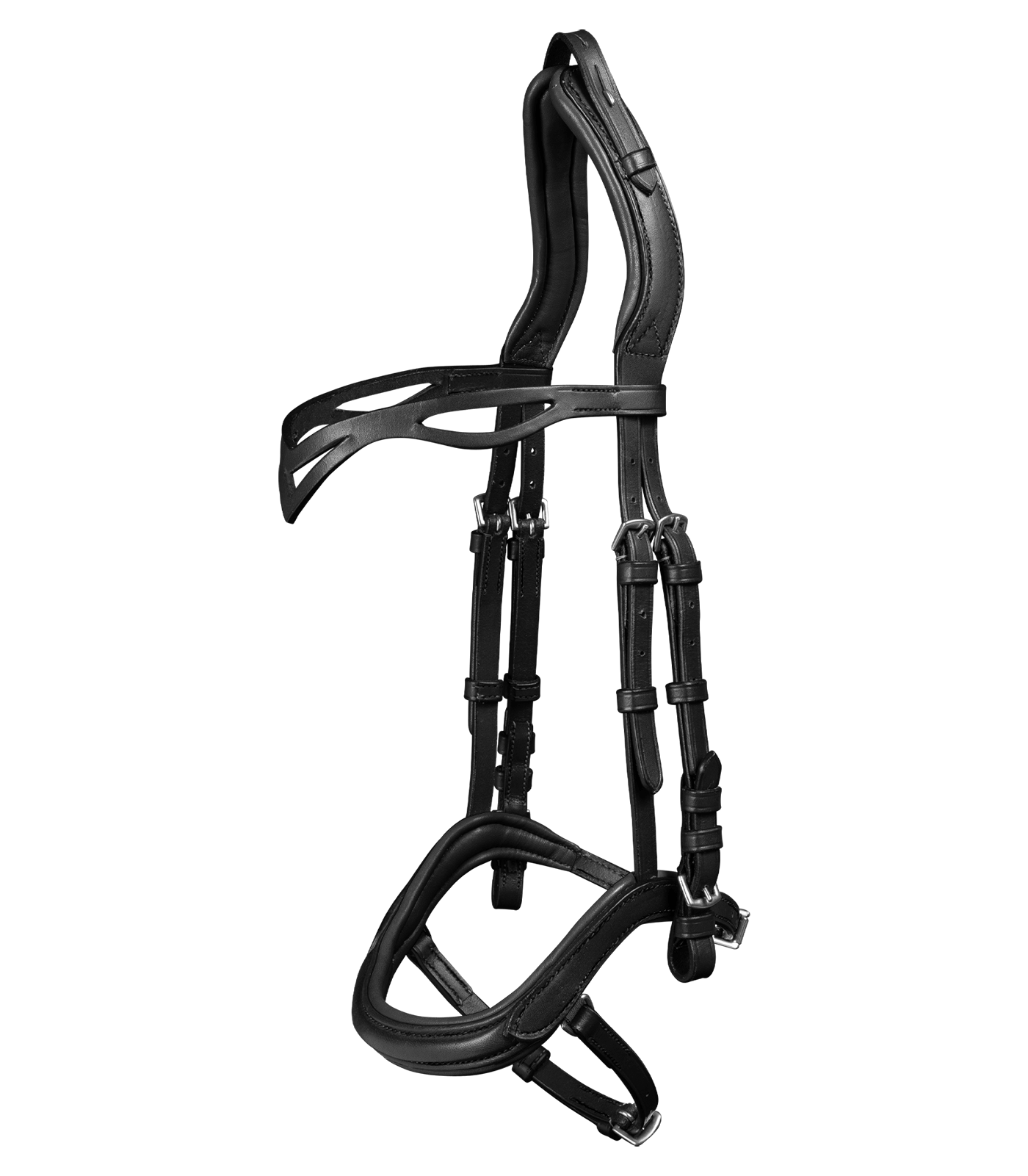 Anatomical Icelandic Bridle