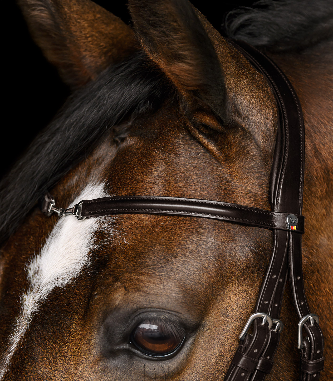 Waldhausen X-Line Trensenzaum Charmbit braun