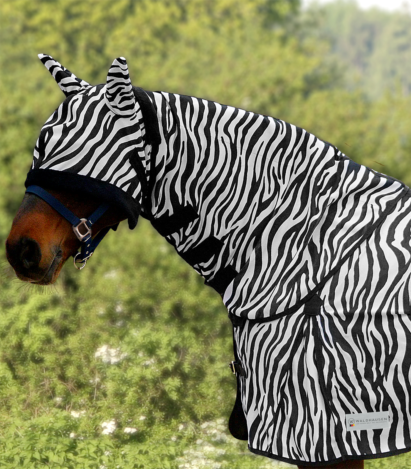 Collo antimosche Zebra nero/bianco