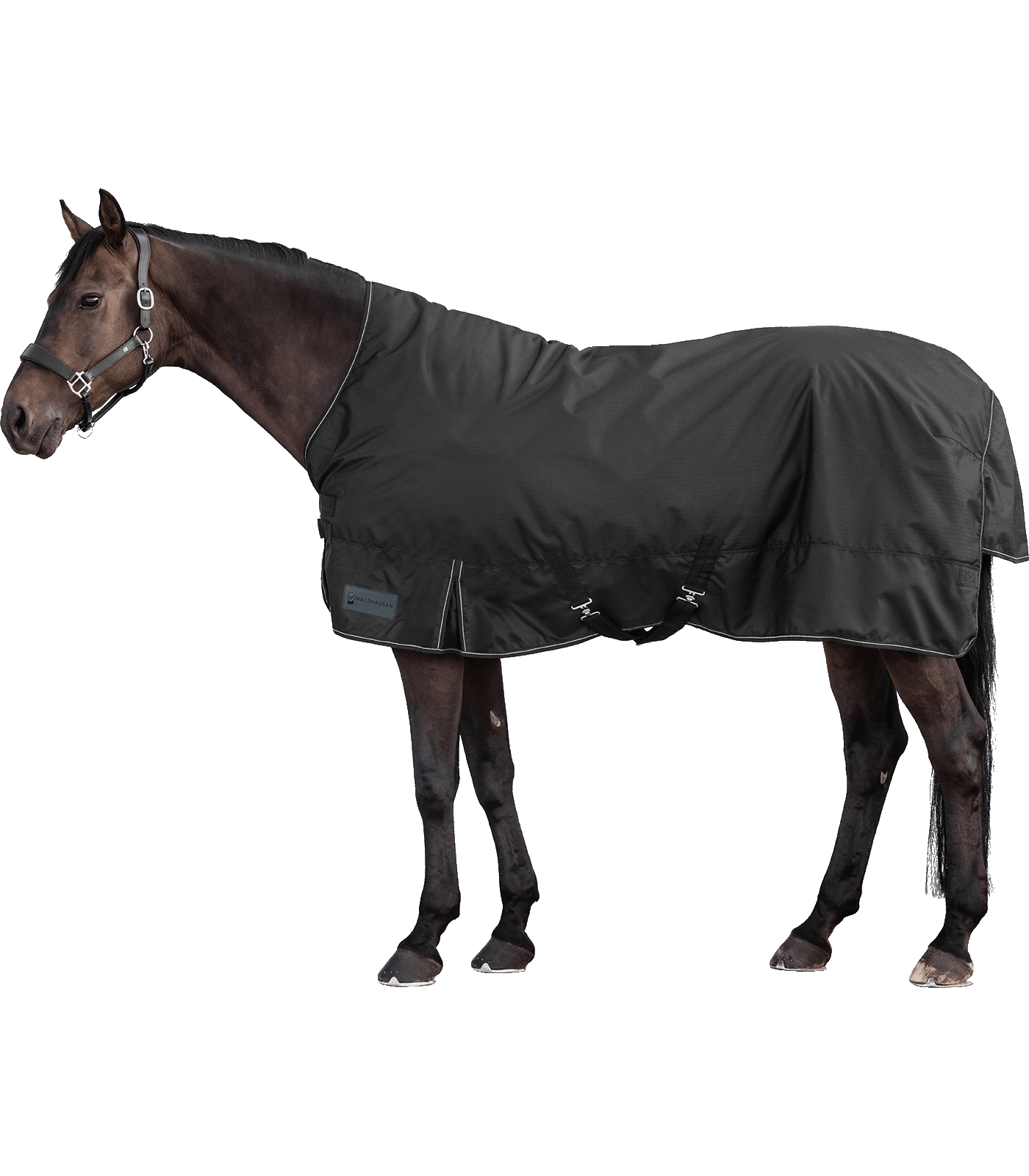 Výběhová deka Waldhausen Nordic High Neck 200 g