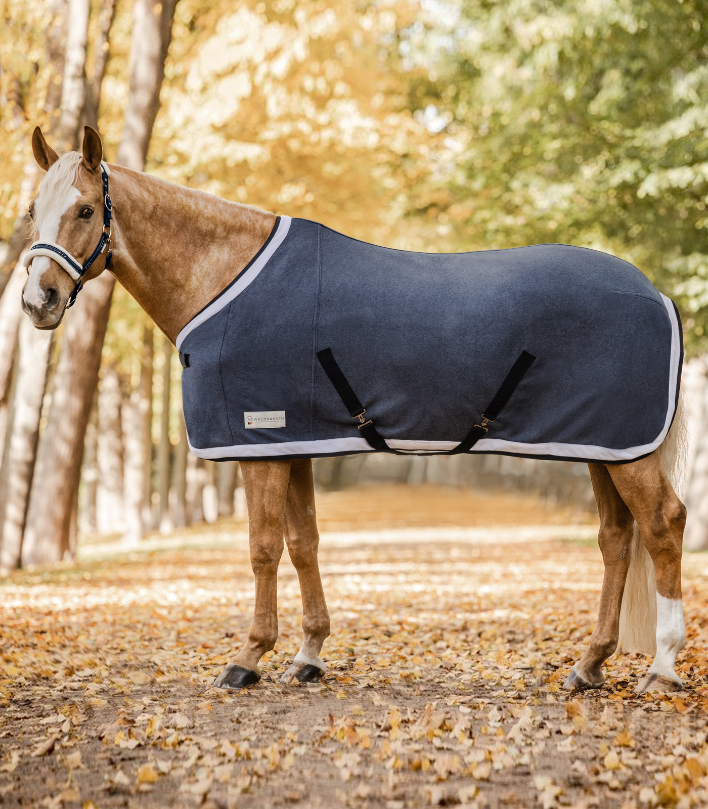 COMFORT Esperia Two Fleece Rug