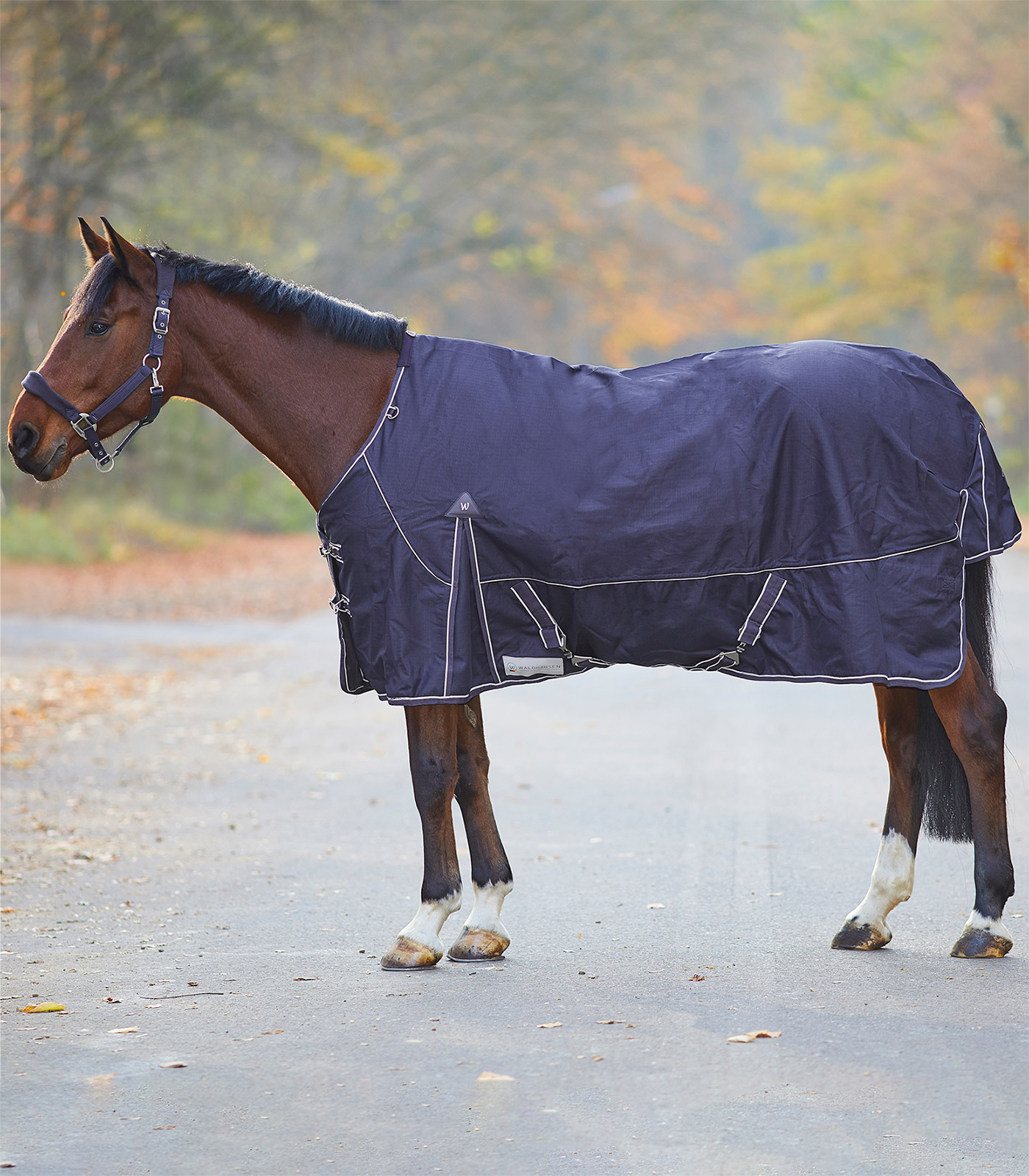 COMFORT Turnout Rug, fleece night blue