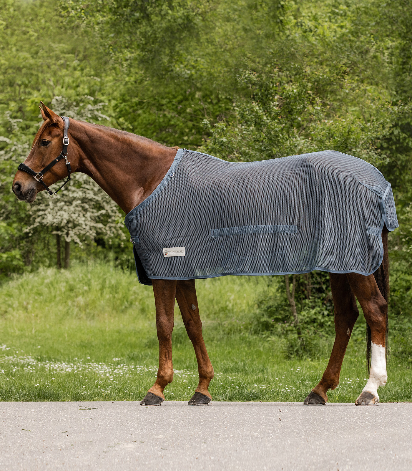 COMFORT Fly Rug, with belly flap chalkblue