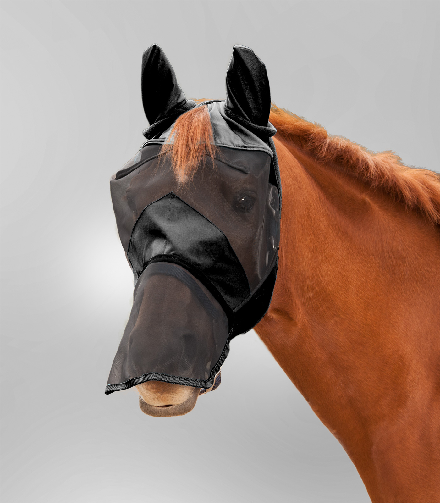 PREMIUM fly mask with ear and nose protection black