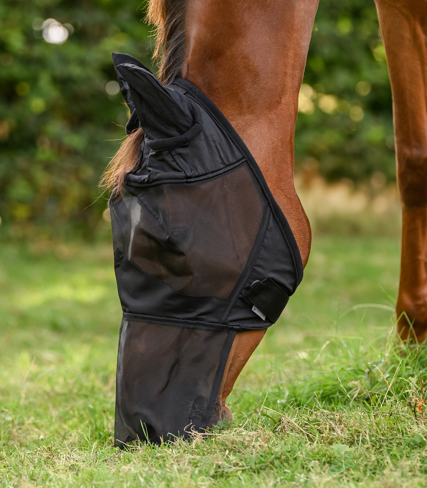 PREMIUM Fliegenmaske mit Ohren- und Nasenschutz PREMIUM Fliegenmaske mit Ohren- und Nasenschutz