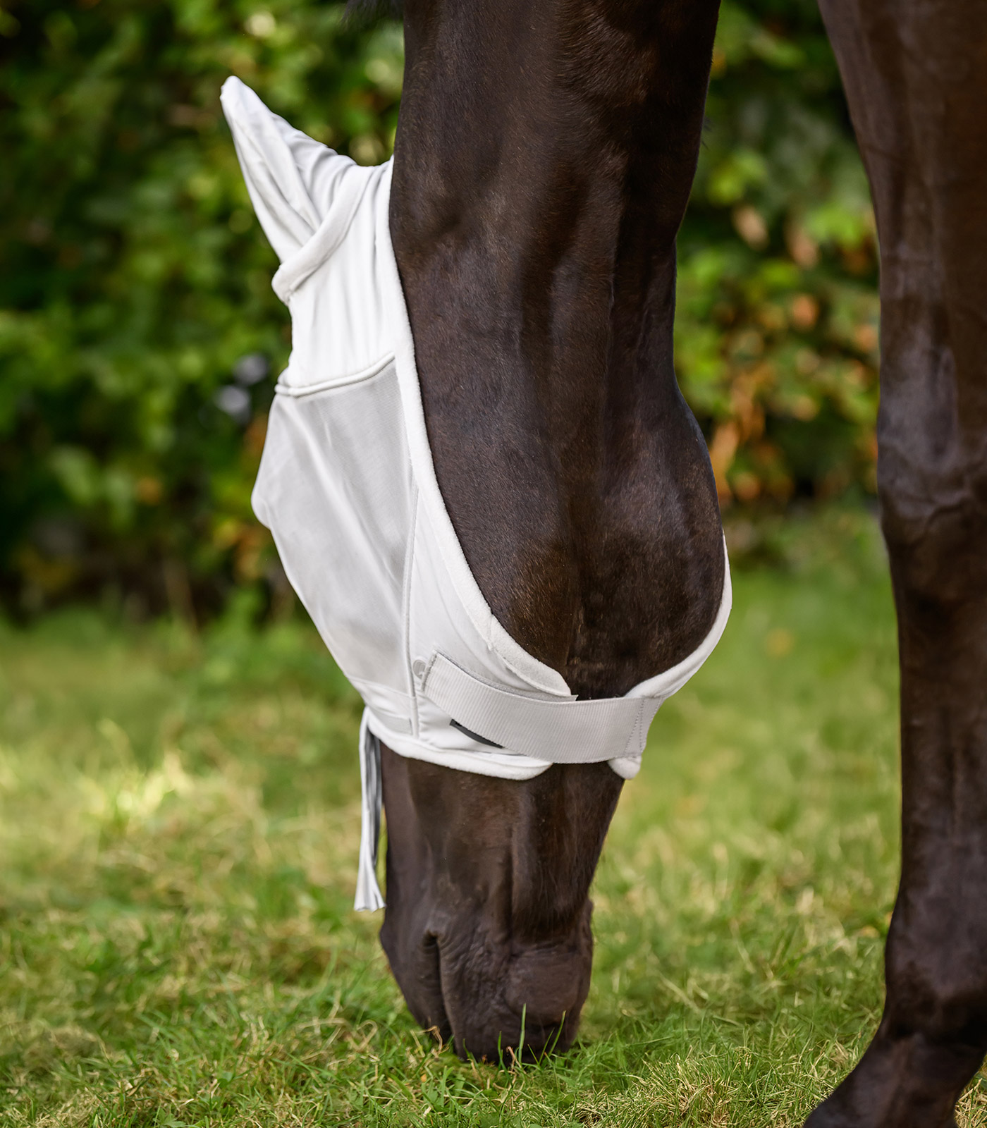 PREMIUM Fliegenmaske mit Ohrenschutz und Nasenfransen