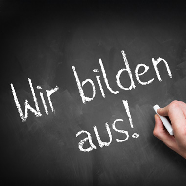  Apprenticeship at Waldhausen 