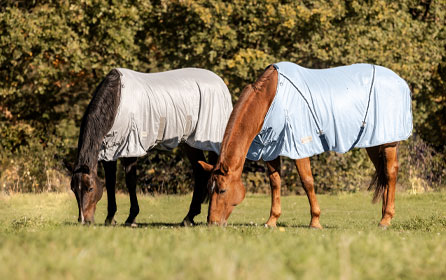 The good care for horse pastures
