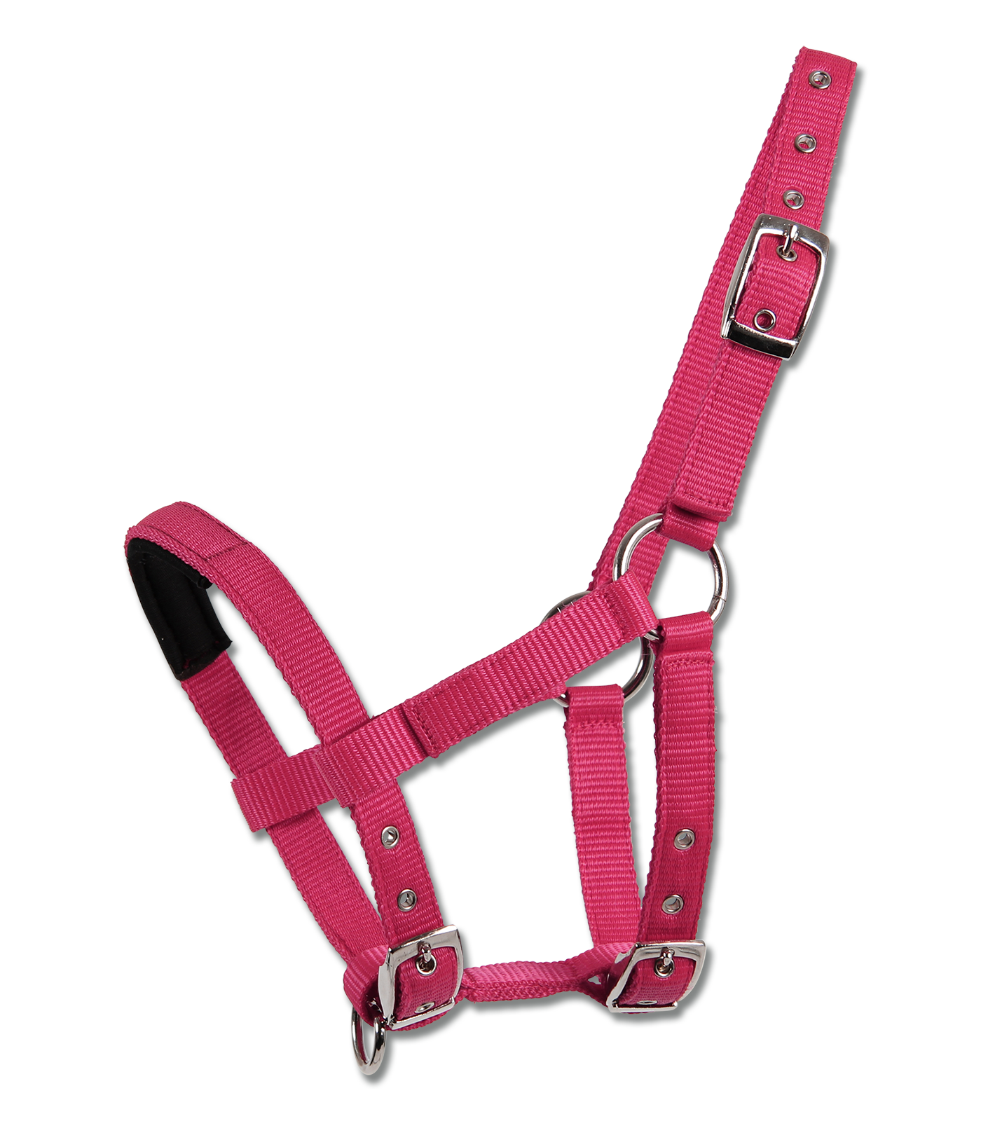 Halter for Mini-Shetty