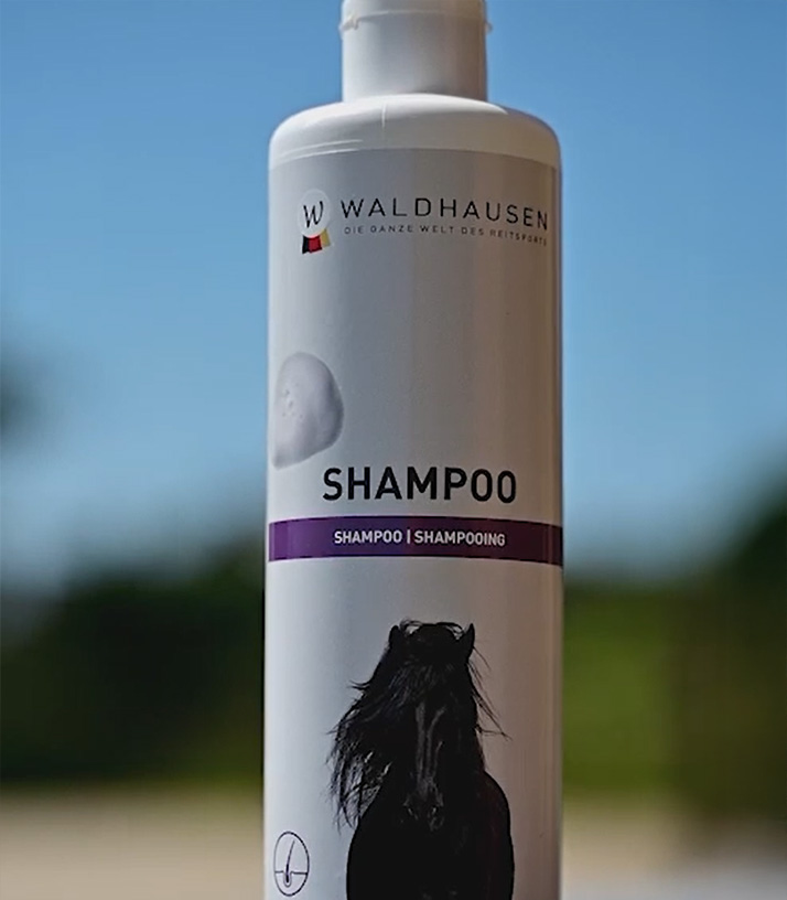 Champú de cuidado Cassis