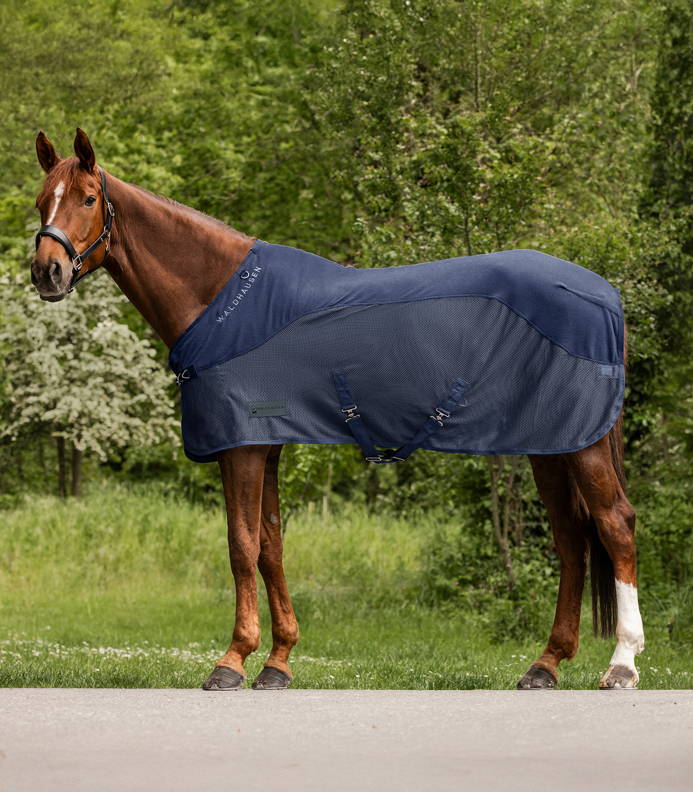 Fleecová deka proti hmyzu Waldhausen Comfort