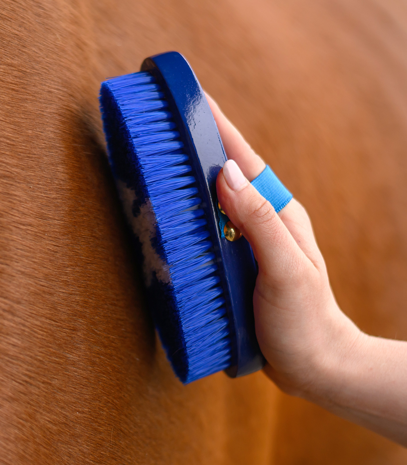 Bouchon pour enfants Petits chevaux