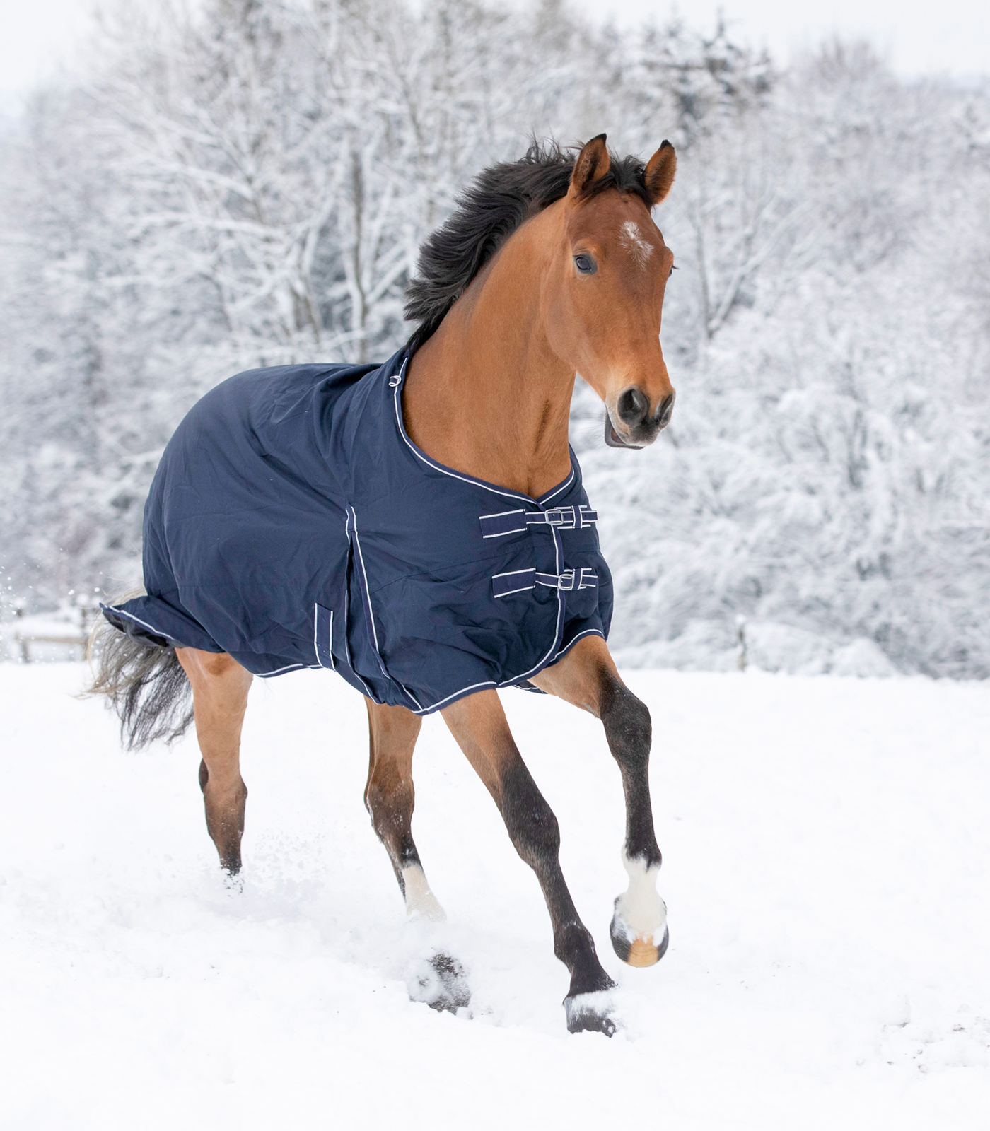 Economic Outdoordecke, Fleece nachtblau