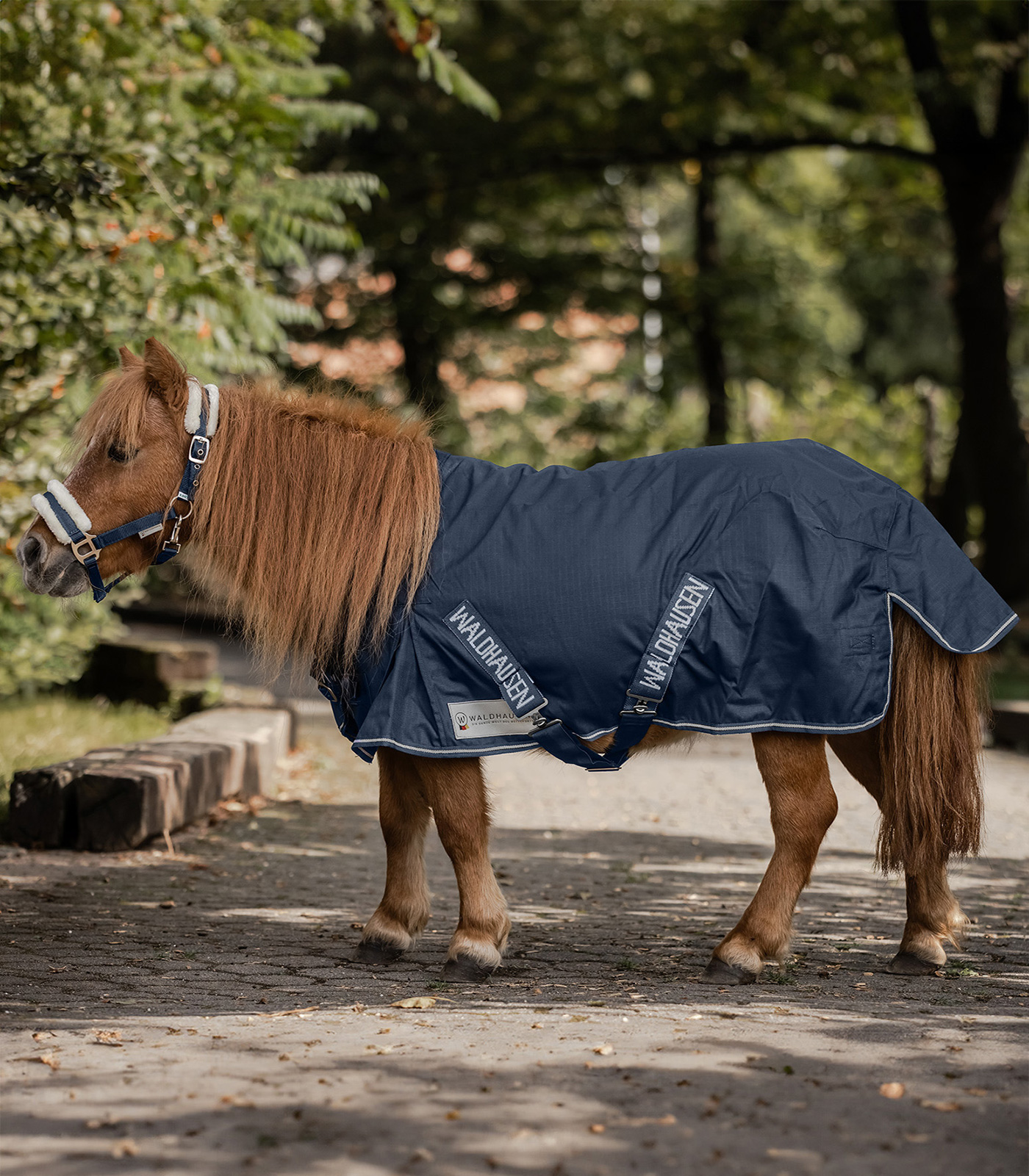 COMFORT Rain Blanket for Shetty, 100g night blue