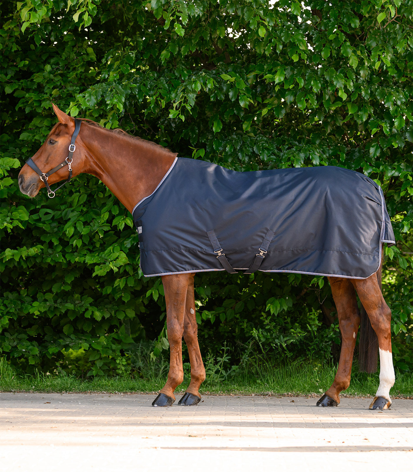 ECONOMIC Outdoordecke, Light nachtblau