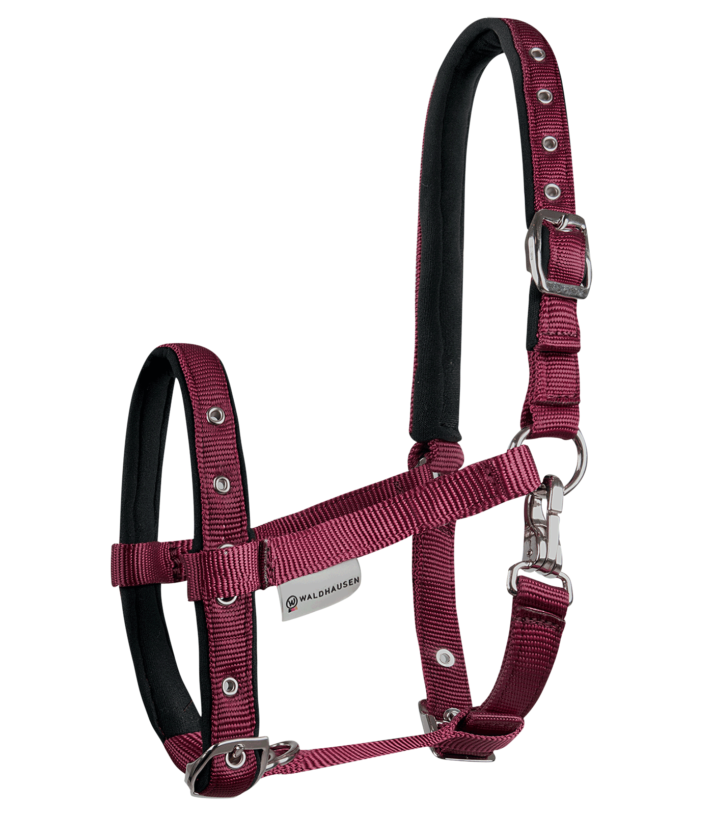 Halter Comfort for Foals bordeaux