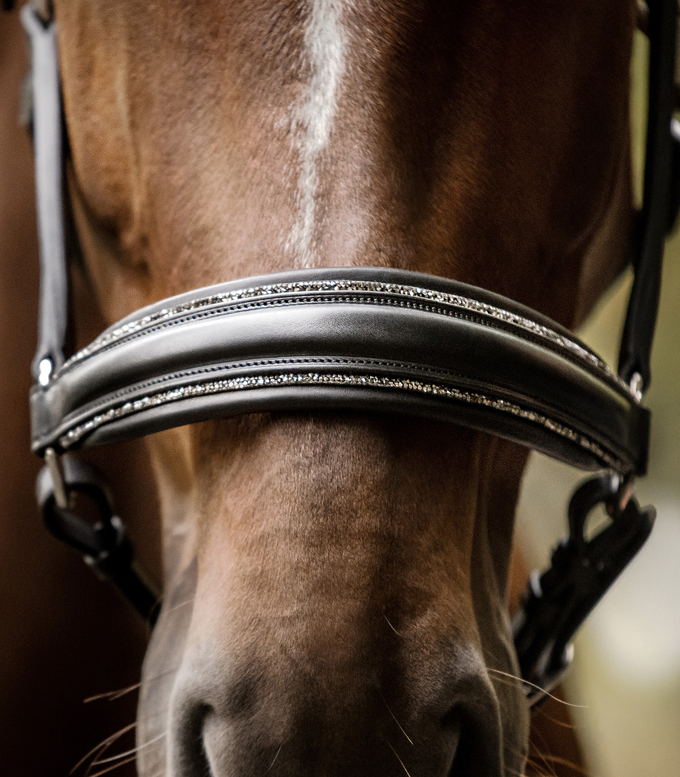 Glamour Waldhausen S-Line leather halter