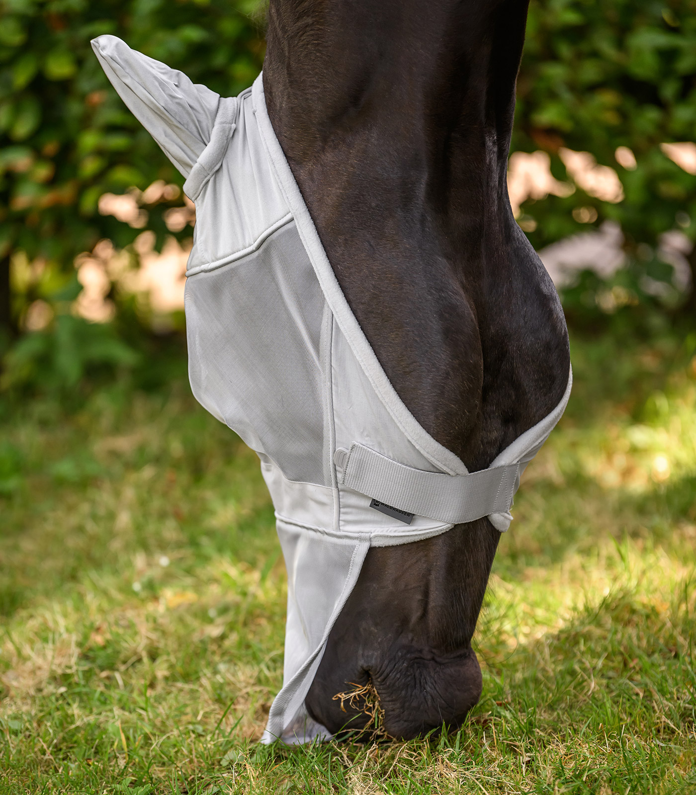 PREMIUM Fly mask with ear and nose protection PREMIUM Fly mask with ear and nose protection