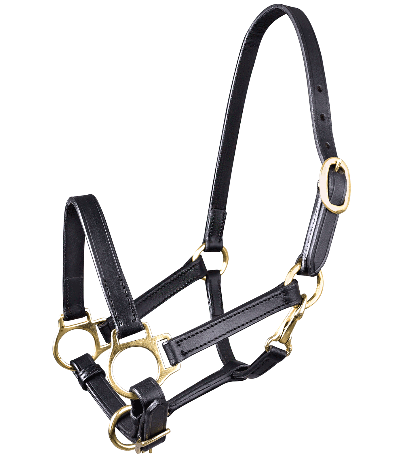 STAR Leather Halter for Foals