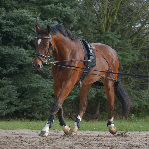 Image alternate text