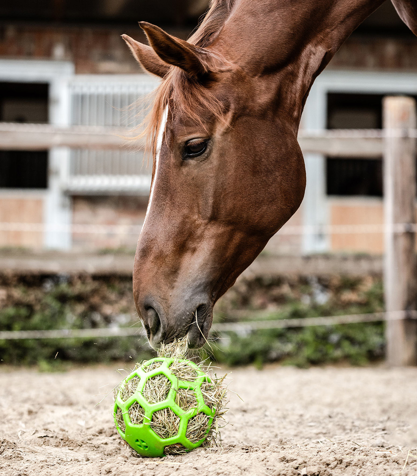 Pelota de heno