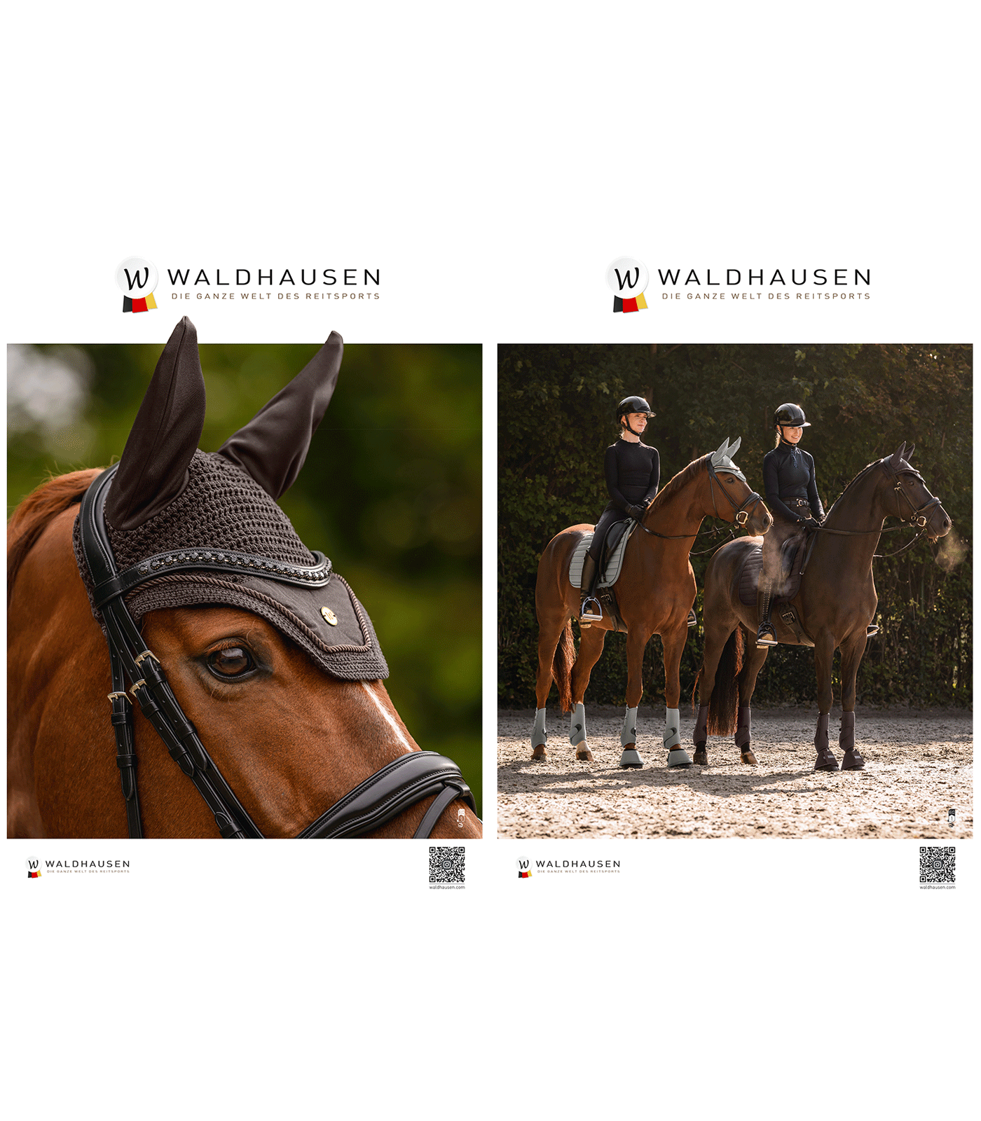 Poster Waldhausen H/W