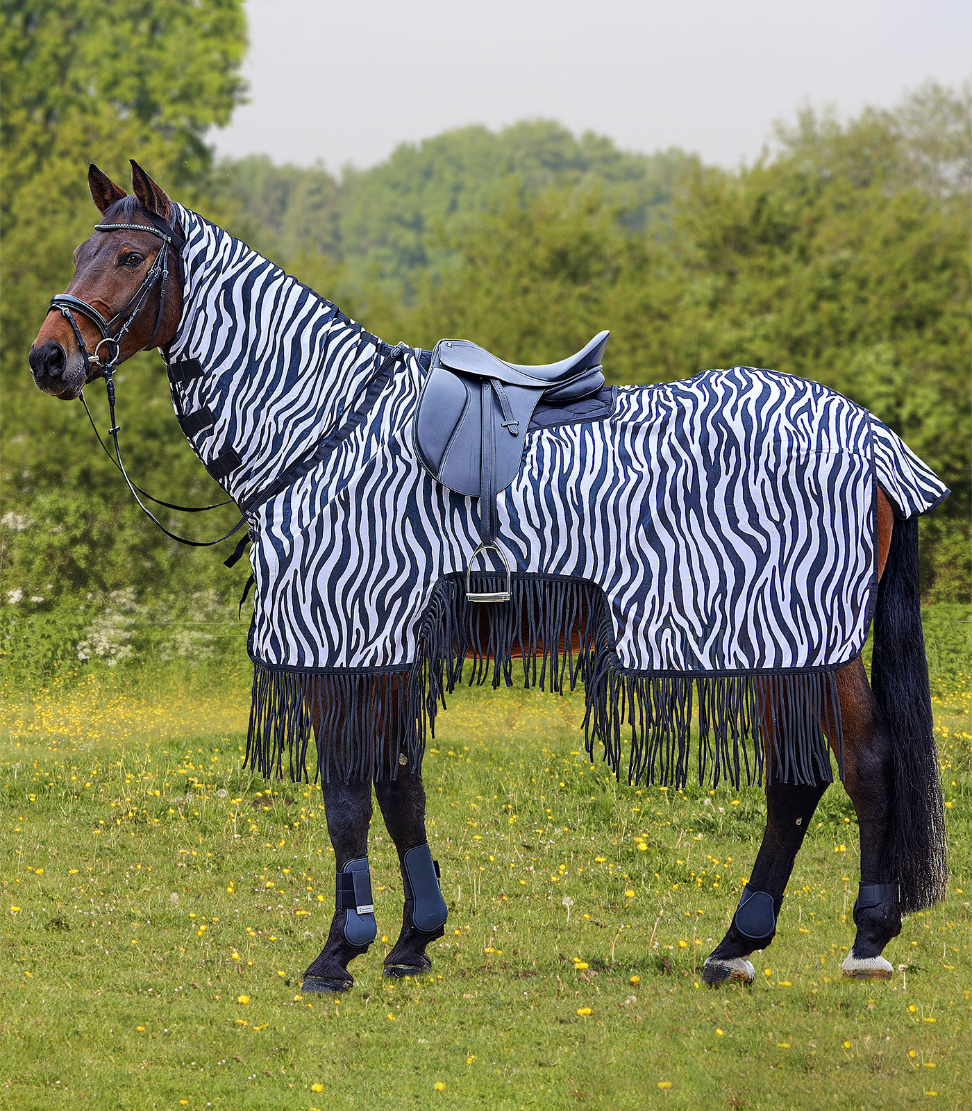 Fliegenausreitdecke Zebra mit Fransen schwarz/weiß