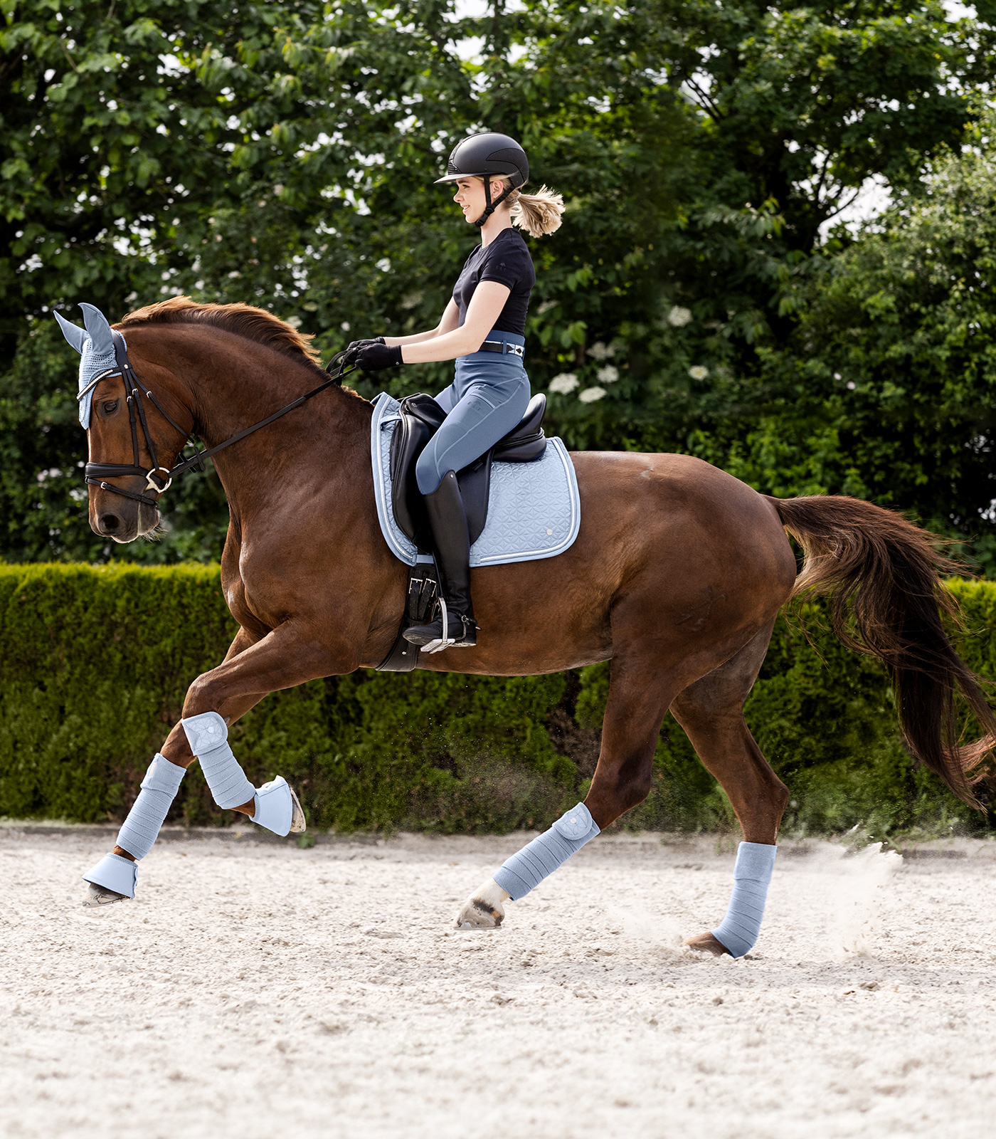 Vendas polares Rom, lote de 4