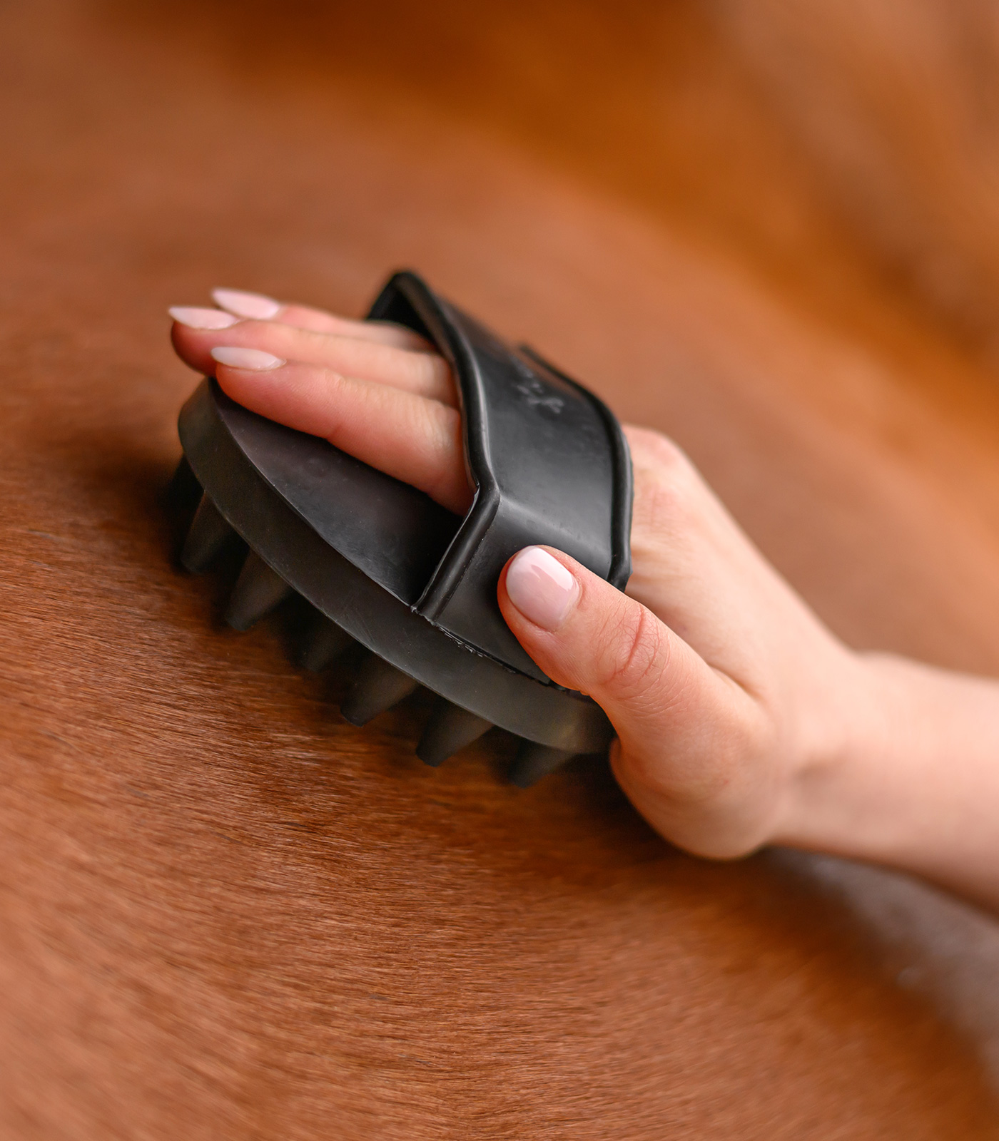 Étrille magique Rubber Groomer