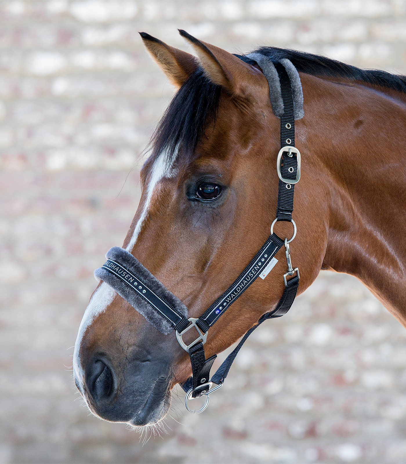 Elegant halter