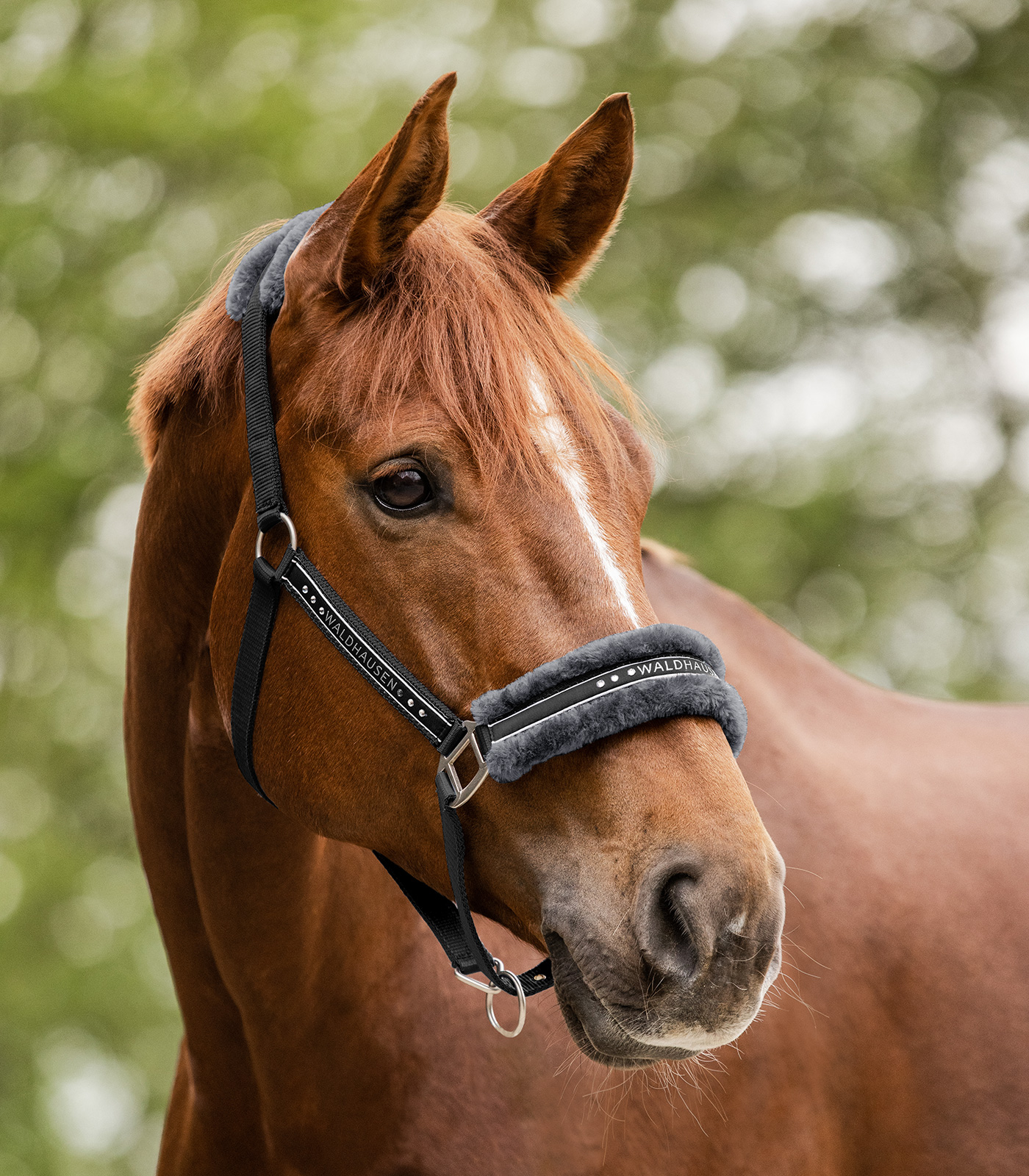 Halfter Elegant