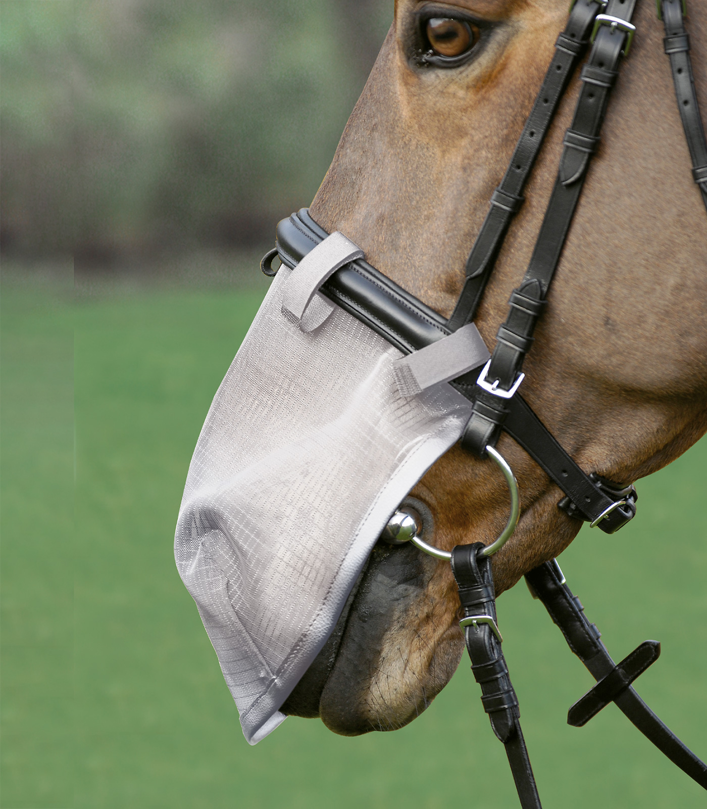 Protección antimoscas para nariz, con protección UV. gris plata