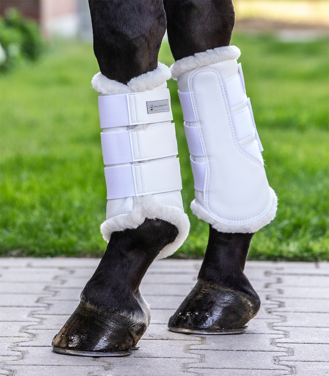 Soft Dressage Boots