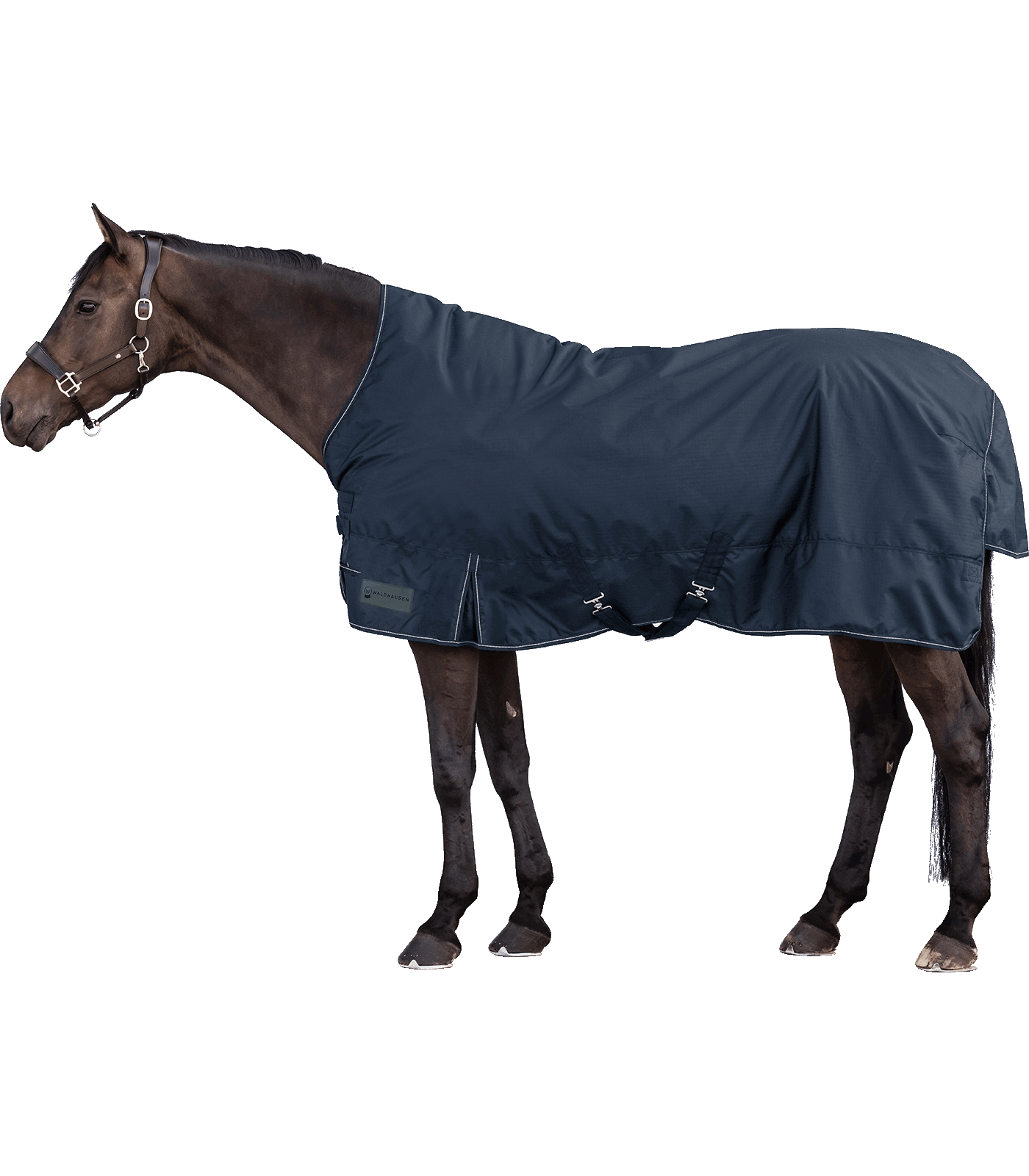 Výběhová deka Waldhausen Nordic High Neck 200 g