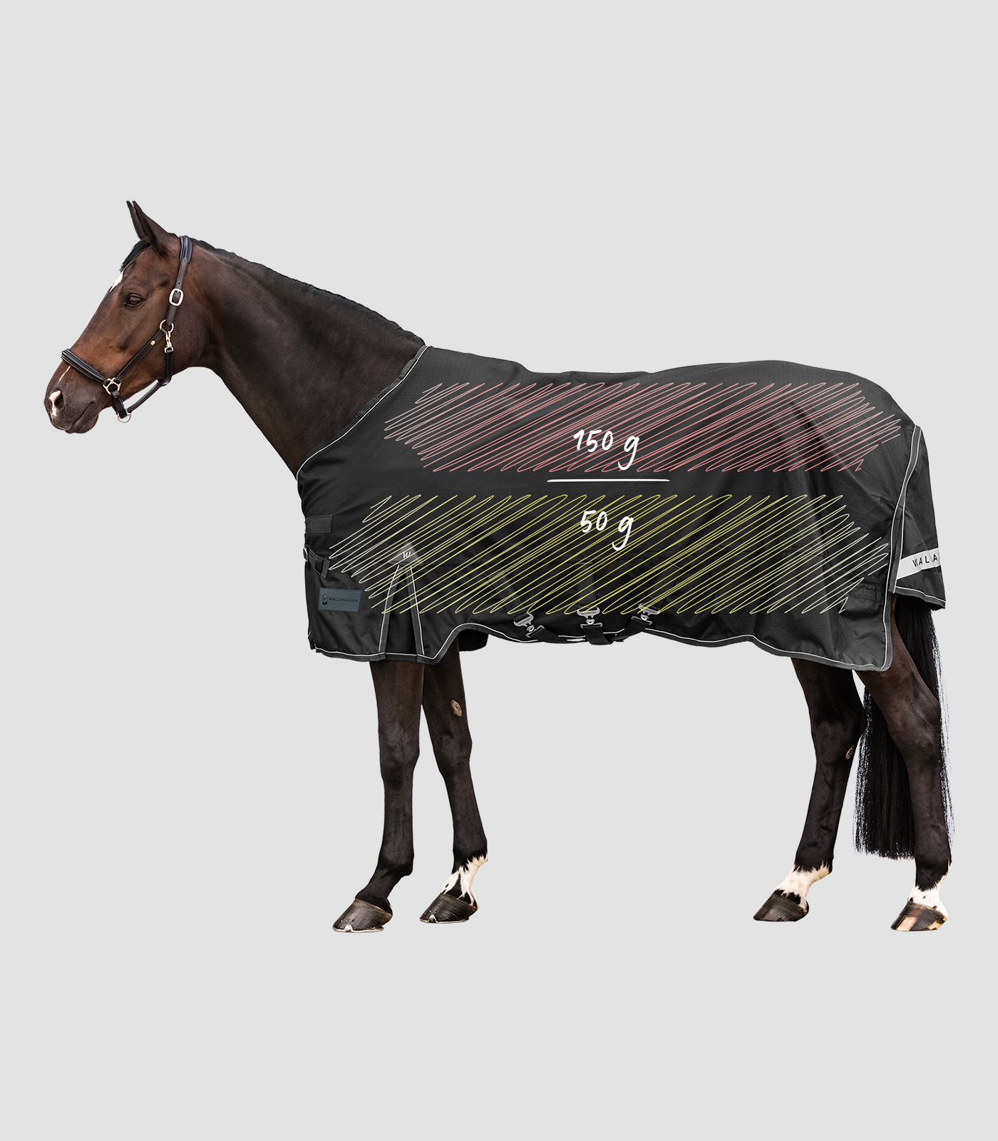 WALDHAUSEN Coperta da paddock impermeabile e traspirante CON COLLO WALDHAUSEN Coperta da paddock impermeabile e traspirante CON COLLO