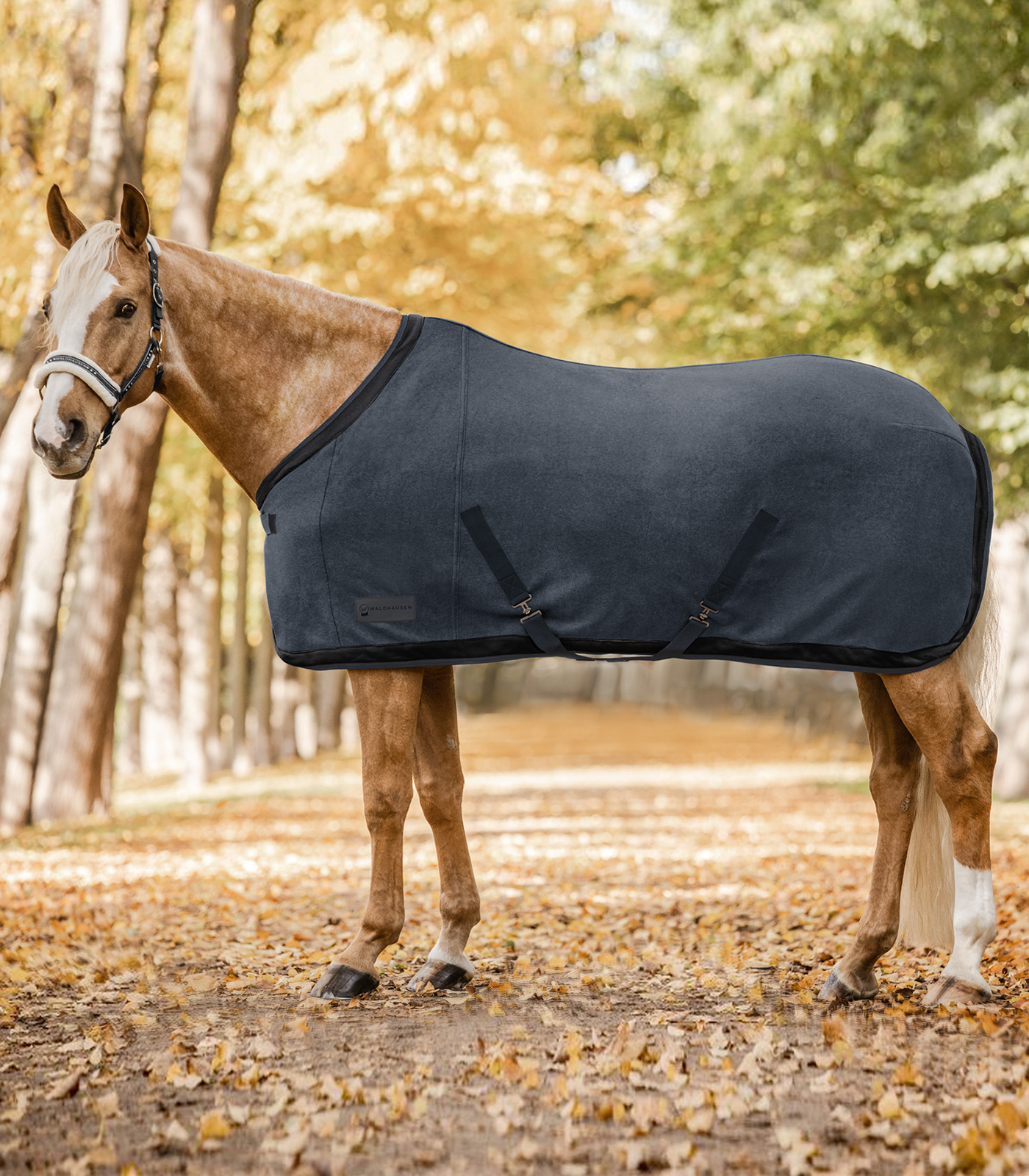 Fleecová odpocovací deka Waldhausen Comfort Esperia Two