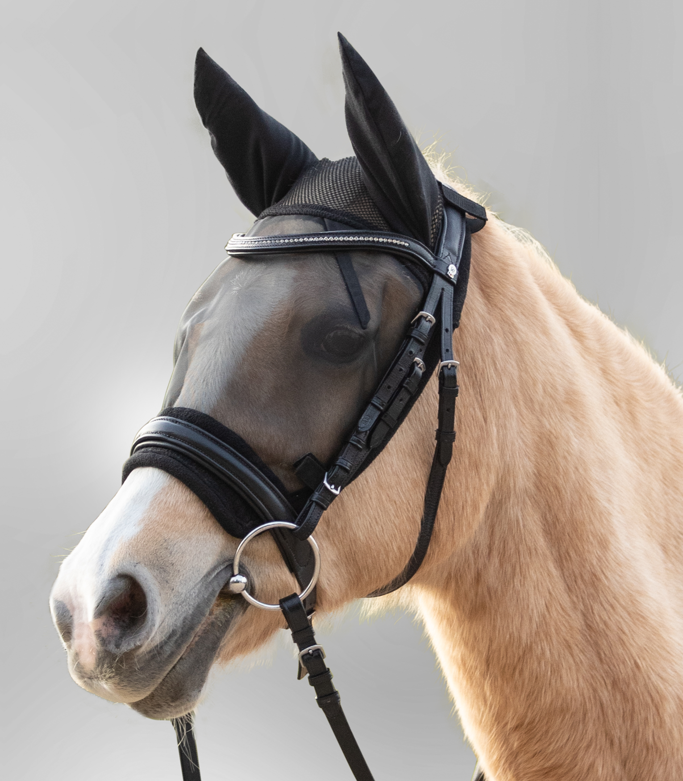 Ride Fly Mask black